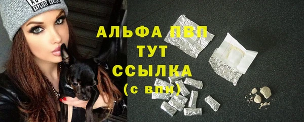 сатива Алексеевка