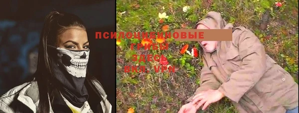 сатива Алексеевка